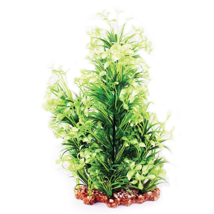 Vibrance- Narrow Ludwigia with Gravel Base XL Aquarium Plant