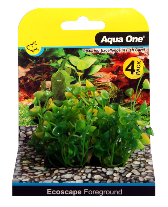 Foreground Aquarium Plants 4pk