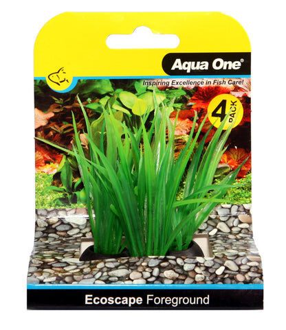 Foreground Aquarium Plants 4pk