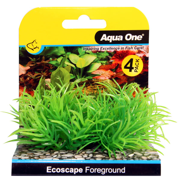 Foreground Aquarium Plants 4pk