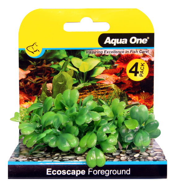 Foreground Aquarium Plants 4pk