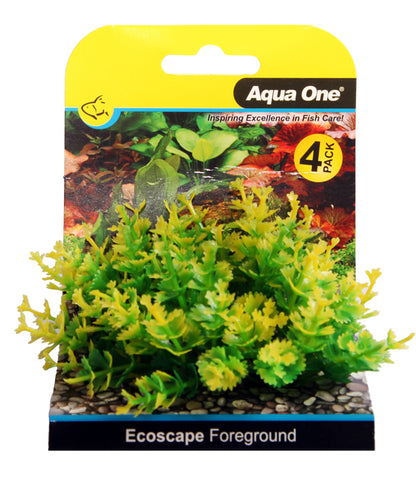 Foreground Aquarium Plants 4pk