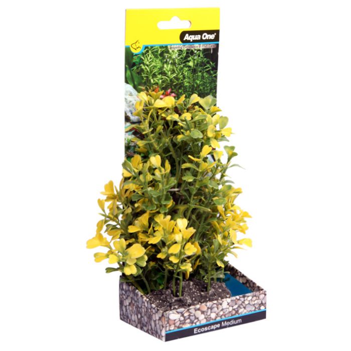 Ecoscape Medium Japanese Box Yellow 20cm