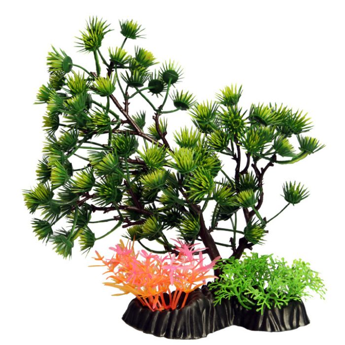 Tree Medium Umbrella Pine Green 24cm