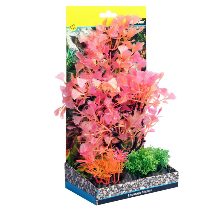 Medium Fan Palm Tree Red 24cm