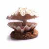 Aqua One Air Operated Clam On Sand Fish Tank Ornament 9.5x9x6.5cm.