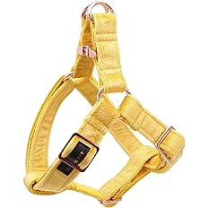 Aring Velvet Dog Harness M gold