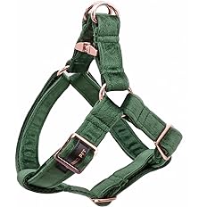 Aring Velvet Dog Harness L green velvet