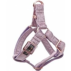 Aring Velvet Dog Harness M light purple