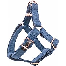 Aring Velvet Dog Harness L navy blue