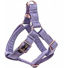 Aring Velvet Dog Harness M purple