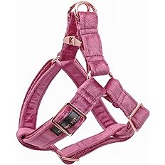 Airing Velvet Dog Harness S rose red