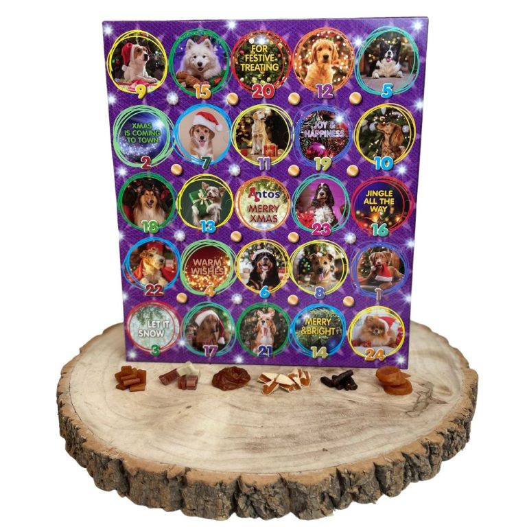 Nova Christmas Advent Calendar (Raw Hide Free)