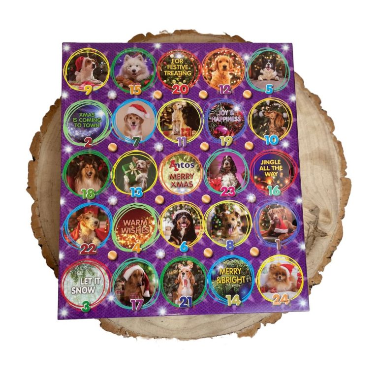 Nova Christmas Advent Calendar (Raw Hide Free)