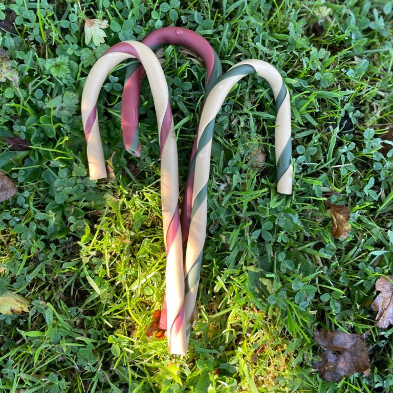 Nova Christmas Candy Canes Dog Treat. Sold Individually