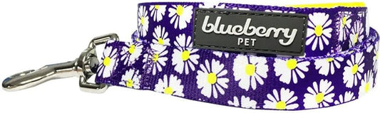 Blueberry Pet Daisy Print Dog Leash 5/8th. x 5'