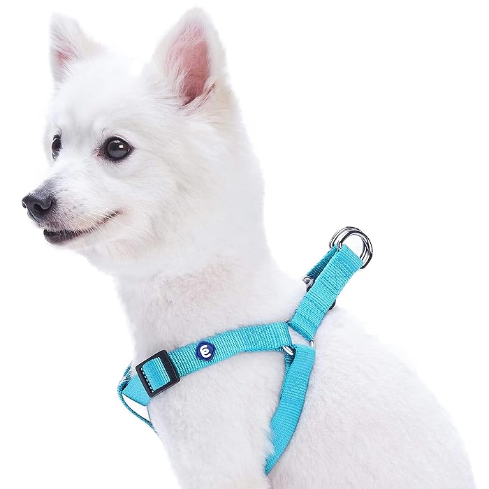 CLEARANCE - Blueberry Pet Essential Dog Harness Turquoise Reflective large