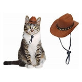 Awocan Dog/Cat Cowboy Hat & Scarf