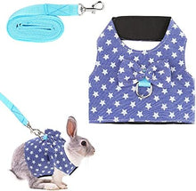 Filhome Adjustable Harness with Leash for Small Animals (Rabbit, Guinea Pig, Ferret, Kitten etc.)