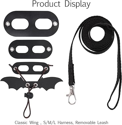 Reptile & Amphibian Habitat Accessories