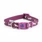 Ancol Fashion Dog Collar Purple Bone
