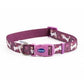 Ancol Fashion Dog Collar Purple Bone