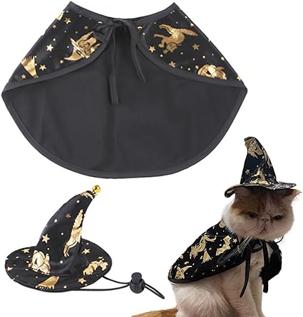 Cat Witch Costume small Cat Halloween Costume