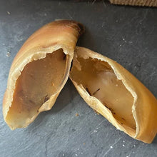 Burns Cow Hooves Hollow Dog Treat – Natural Long Lasting Dog Chew
