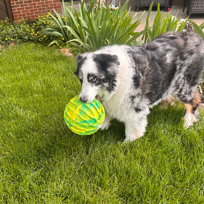 KONG Flexball Sport Ball XL EU - Dog Toy