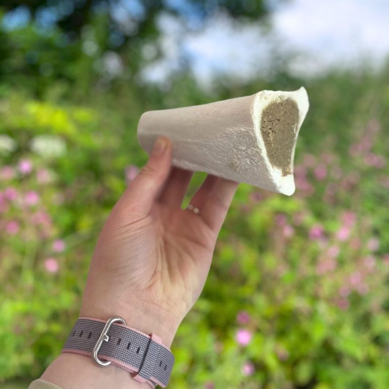 Nova White Meaty Filled Bone Dog Treat – Long Lasting Filled Dog Chews