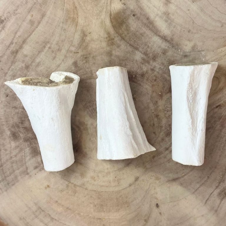 Nova White Meaty Filled Bone Dog Treat – Long Lasting Filled Dog Chews