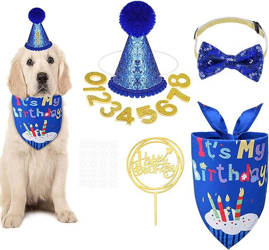 Heyu Lotus Dog Birthday Bandana & Hat Birthday Outfit