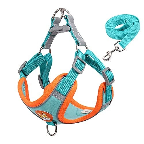 CLEARANCE - Dog Harness with Leash XL light blue