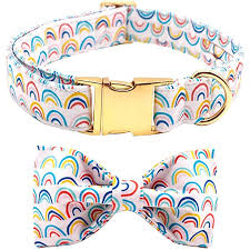 CLEARANCE - Unique Style Paws Rainbow Dog Collar & Bow Tie XL