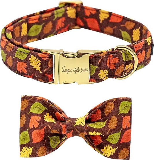 CLEARANCE - Unique Style Paws Maple Leaf Dog Collar & Bow Tie S