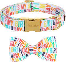 CLEARANCE - Unique Style Paws Happy Birthday Dog Collar & Bow Tie XS