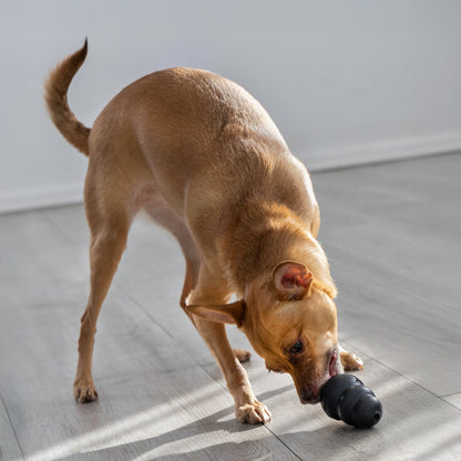 KONG Extreme Dog Toy – Small
