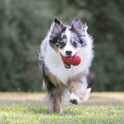KONG Classic Dog Toy – XXL