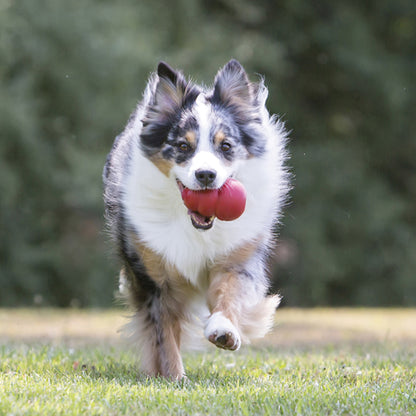 KONG Classic Dog Toy – XL