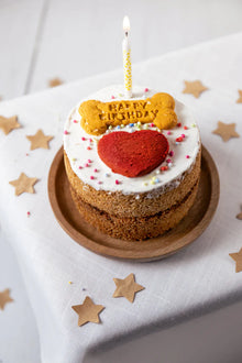 Life Of Riley Doggy Birthday Cake Dog Treat