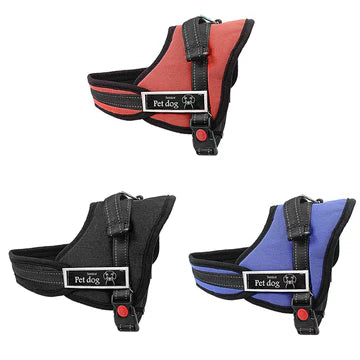 Adjustable Dog Harness, Colours Vary Size Small