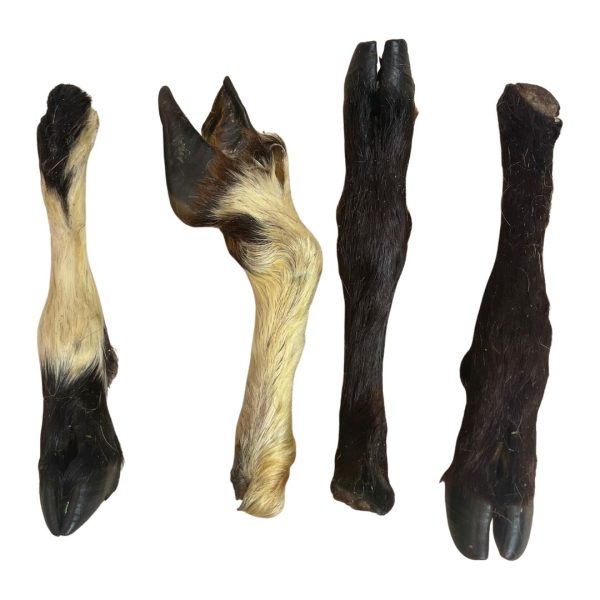 Hairy Lamb Legs Dog Treats