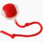 P02 Interactive Ball with Tail Cat Toy also suitable for Dogs