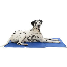 Trixie Cooling Mat For Dogs XL- XXL 100 × 60 cm
blue/grey