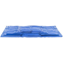 Trixie Cooling Mat For Dogs XL- XXL 100 × 60 cm
blue/grey