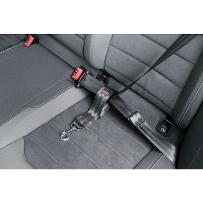 Trixie Seatbelt loop For Dogs, Universal