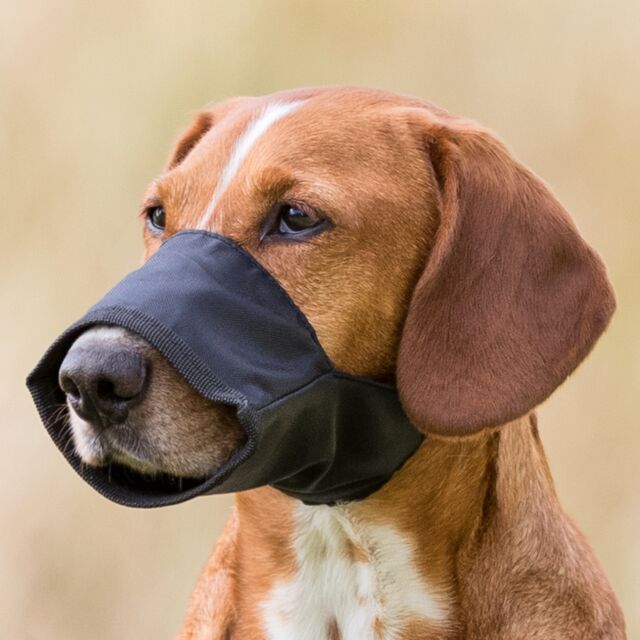 Trixie Muzzle Loop L For Dogs