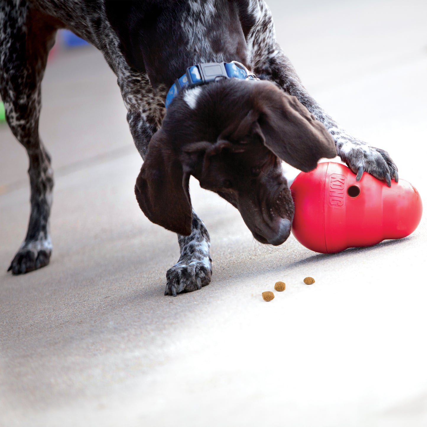KONG Wobbler Dog Toy – Large