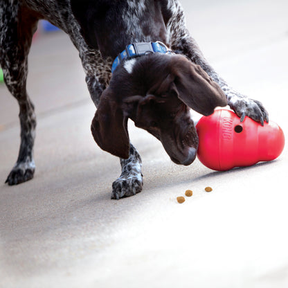KONG Wobbler Dog Toy – Large