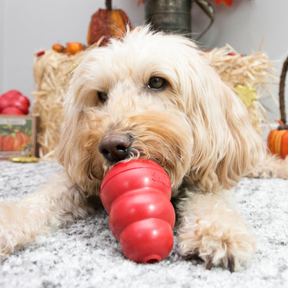 KONG Classic Dog Toy – Medium